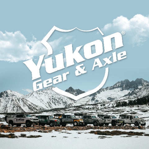 Yukon Rear Axle Bearing and Seal Kit for Chrysler