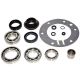 USA Standard Transfer Case BW4417 Bearing Kit 2007+ Ford/Lincoln