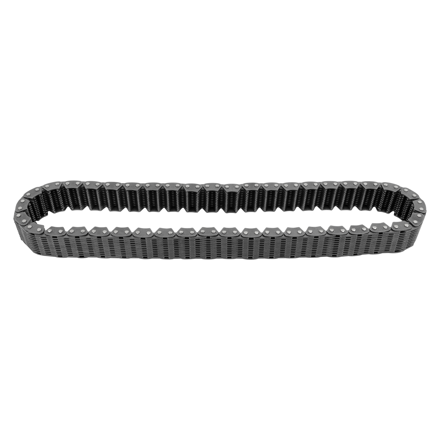 USA Standard Transfer Case BW4407 Chain