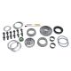 USA Standard Master Overhaul kit for the '79-'97 GM 9.5" differential