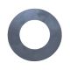 Standard Open side gear and thrust washer for GM 12 bolt car and truck. 