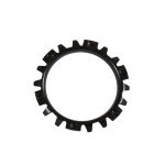 Star washers, 3.062" Yukon Ford 9" Drop Out new design ONLY.