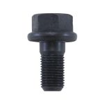 Ring gear bolt for C200F front and '05 7 up Chrysler 8.25" rear. 