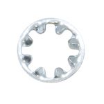 Star washer for GM 12 bolt posi cross pin bolt.